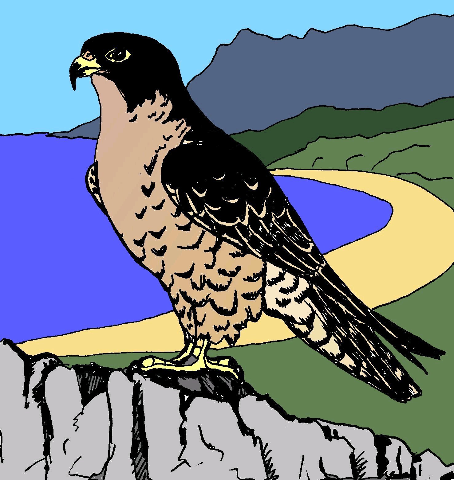 Peregrine Cove Publicist, book publicity